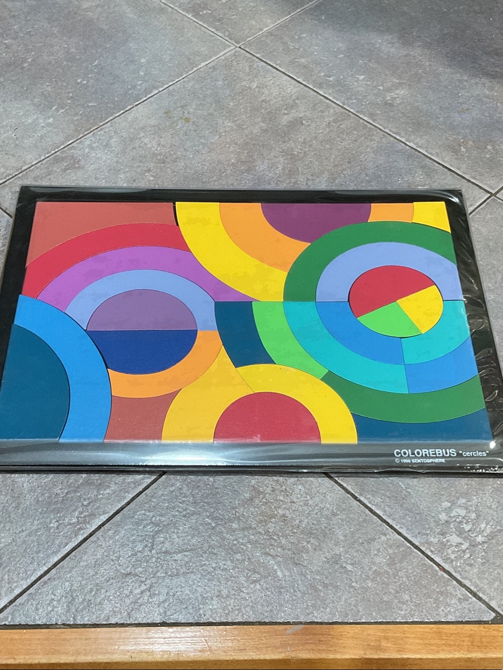 Colorebus Circles Color-Matching Puzzle - Multicolor
